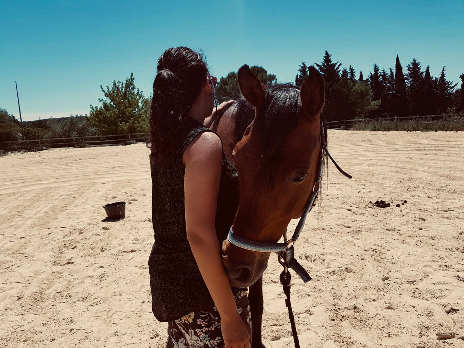 PHILOSOPHIE HUMANIMAL