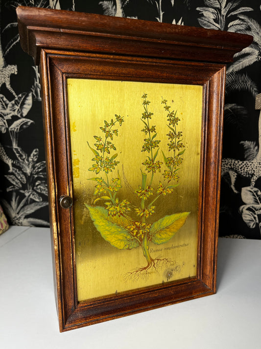 Boîte à clés vintage - Herbier Botanique "Rumex"