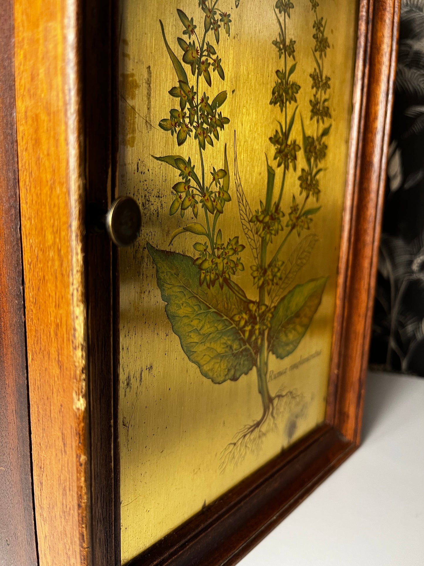 Boîte à clés vintage - Herbier Botanique "Rumex"